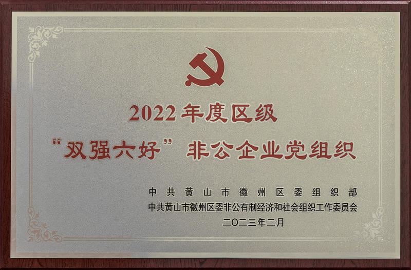 双强六好非公党组织2022